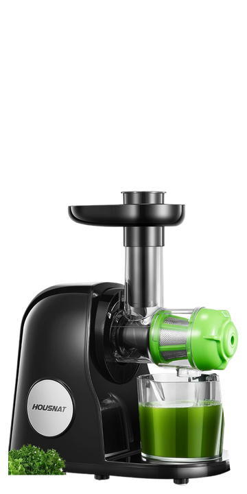 HOUSNAT Slow Juicer