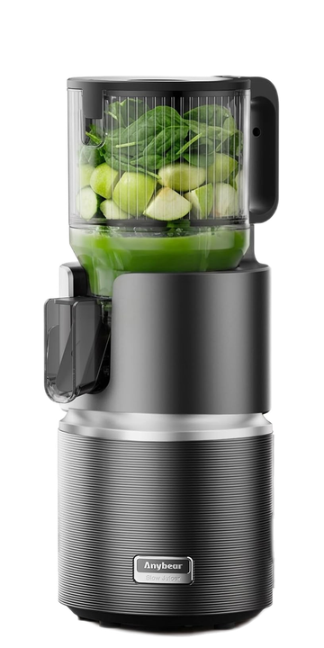 Anybear Slow Juicer 350 W